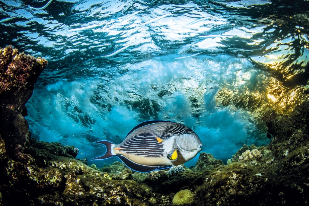 Du lịch Ai Cập – Có gì vui?3 Du lịch Ai Cập – Có gì vui?3