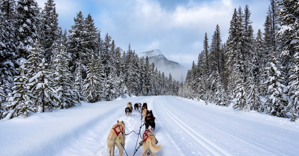 Chia sẻ: Du lịch Canada và những điều cần biết2 Chia sẻ: Du lịch Canada và những điều cần biết2