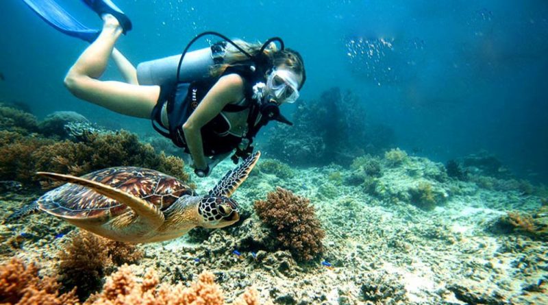 Du lịch Cù Lao Chàm – Hành trình khám phá hòn đảo xinh đẹp nhất Hội An5 Du lịch Cù Lao Chàm – Hành trình khám phá hòn đảo xinh đẹp nhất Hội An5