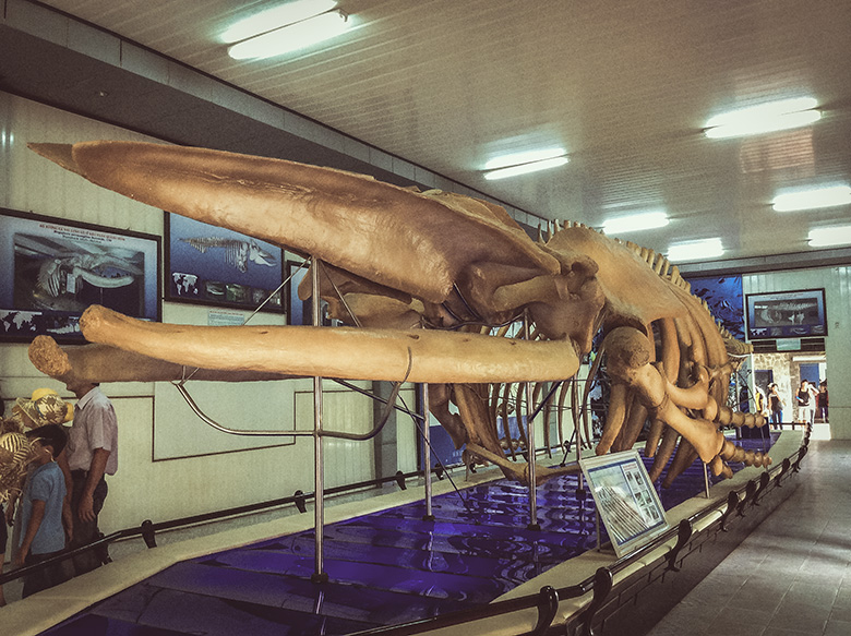 TOP 10 điểm du lịch Nha Trang đẹp và hấp dẫn không thể chối từ4 TOP 10 điểm du lịch Nha Trang đẹp và hấp dẫn không thể chối từ4