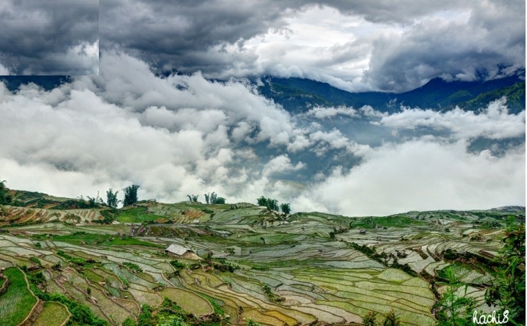 “Xếp hạng” 3 nơi ngắm lúa chín đẹp nhất Việt Nam6 “Xếp hạng” 3 nơi ngắm lúa chín đẹp nhất Việt Nam6