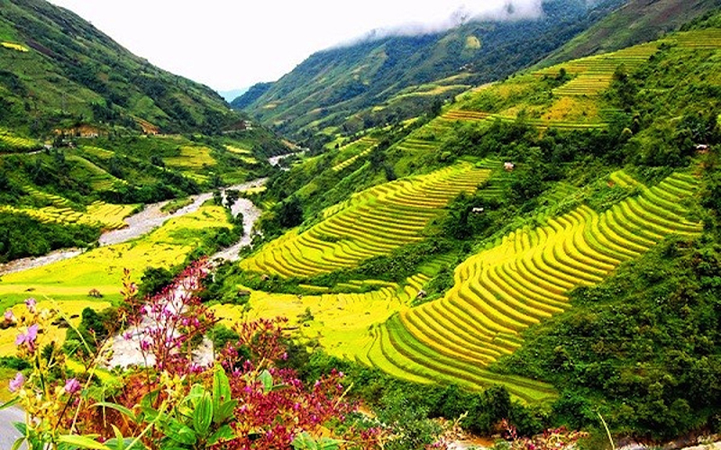 Diem check-in o Sapa Gioi-Thieu-Voi-Ban-Nhung-Diem-Check-In-Dep-Nhat-O-Sapa