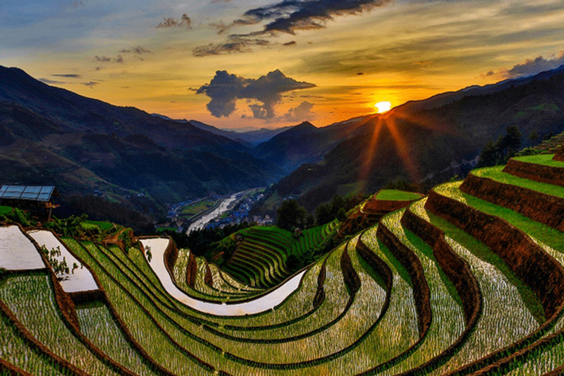 mù cang chải mu-cang-chai