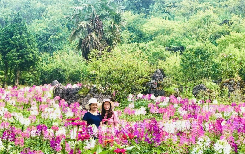 Núi Hàm Rồng Sapa - Du lịch Sapa 2 ngày 1 đêm Núi Hàm Rồng Sapa - Du lịch Sapa 2 ngày 1 đêm